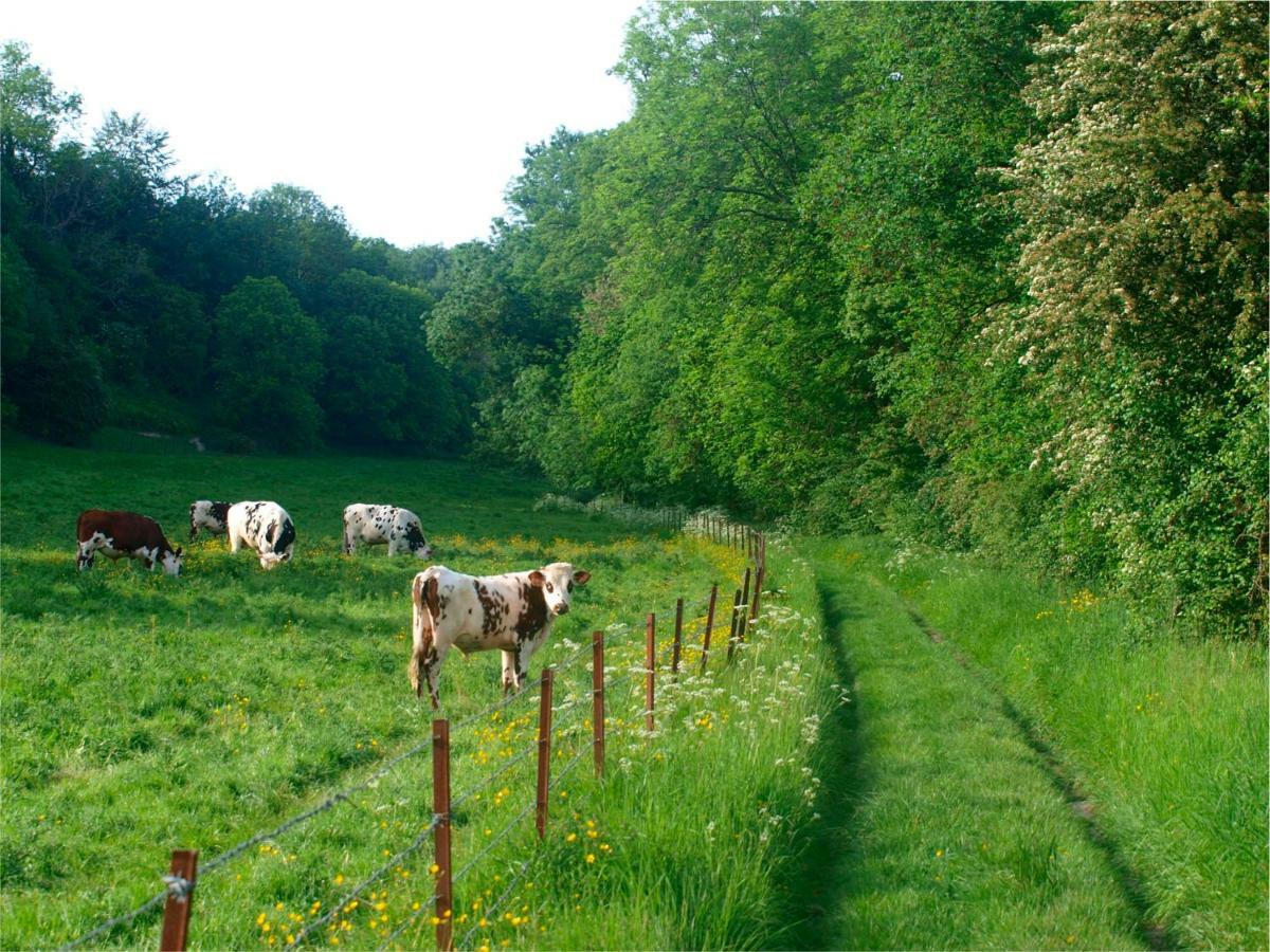 Le Pré Sainte-anne * Offranville